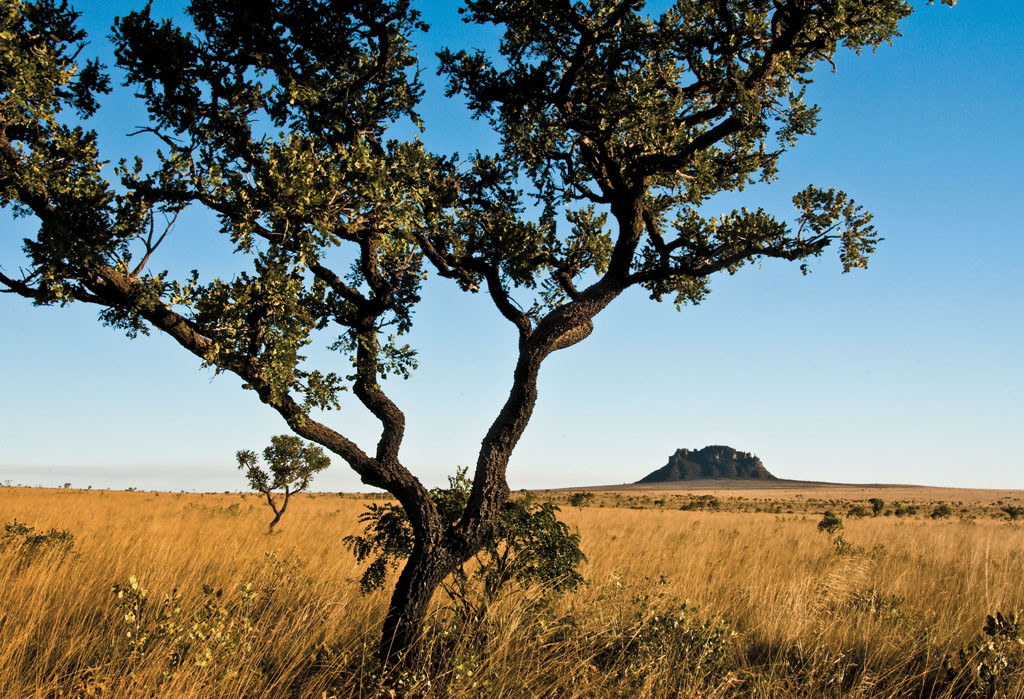 Mourão: país está comprometido com atividades sustentáveis na Amazônia