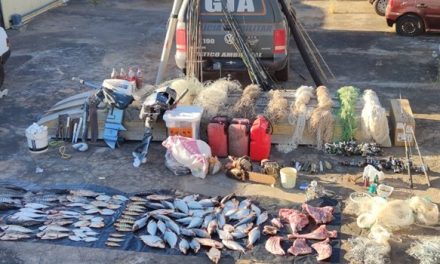 Araguaia: Operação apreende pescado em extinção em Luiz Alves