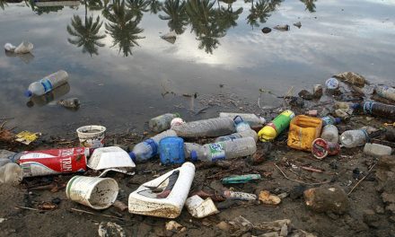 Poluição de plástico em oceanos pode triplicar até 2040, alerta estudo
