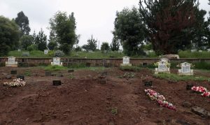 Projetos buscam evitar que beneficiários do Minha Casa, Minha Vida percam imóvel