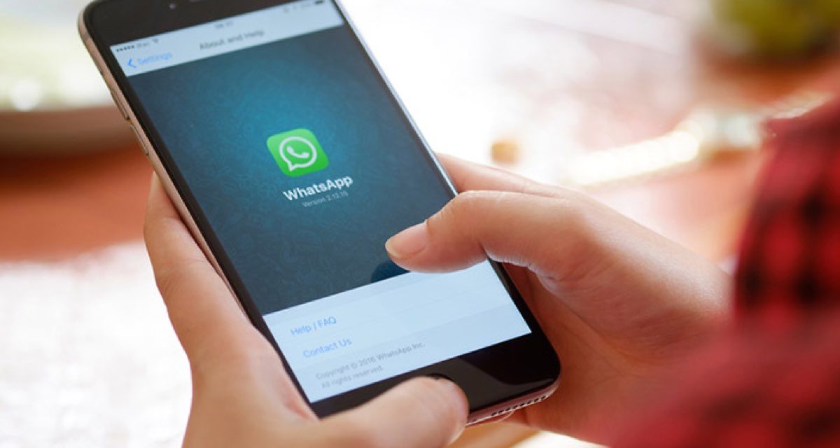 Startup ajuda empreendedores a faturar com grupos de WhatsApp