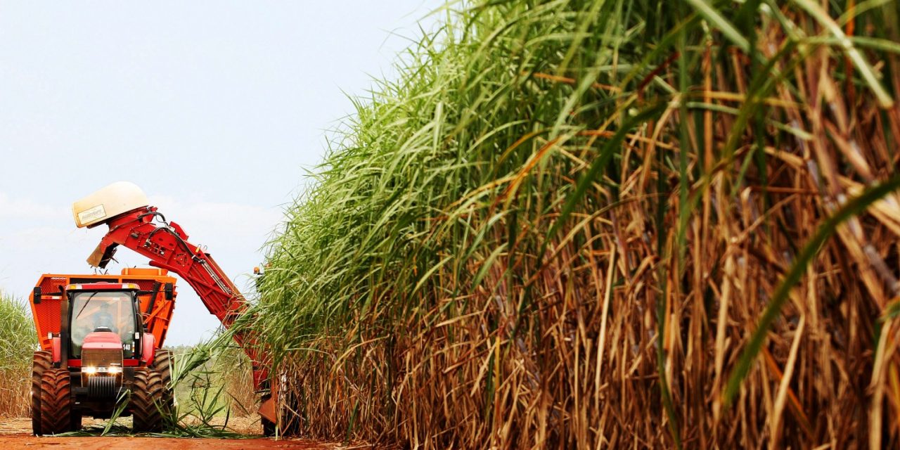 Produção de açúcar em Goiás deve crescer 53,6% na safra 2020/2021