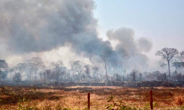 Focos de queimadas aumentam 69% na Região Sudoeste de Goiás