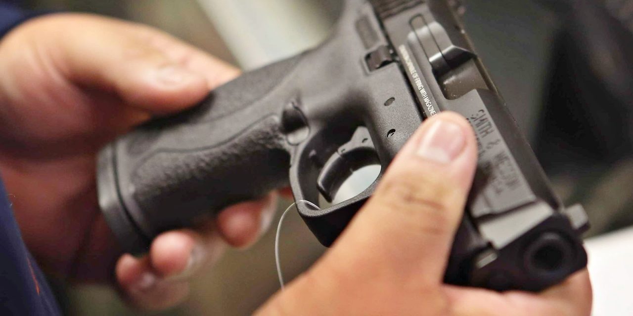 Assembleia aprova isenção de ICMS na aquisição de armas de fogo