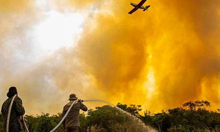 Projeto prevê uso de aviação agrícola no combate a incêndio florestal