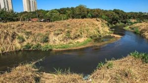 Seguro obrigatório voltará a ser pago em 2025