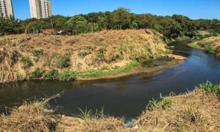 Secretária estadual de Meio Ambiente acredita que não haverá falta de água neste ano em Goiânia