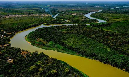 Perícia afirma que incêndio no Pantanal mato-grossense foi intencional