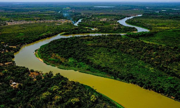 Perícia afirma que incêndio no Pantanal mato-grossense foi intencional
