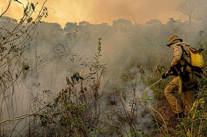 Incêndios no Pantanal: comissão do Senado visita Mato Grosso