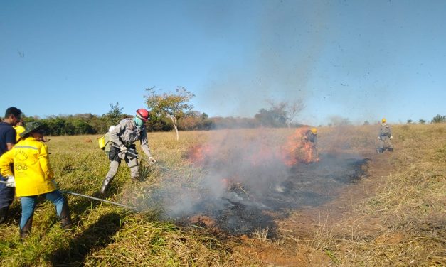 Goiás registrou crescimento de focos de incêndio em agosto; número está 50% menor em setembro