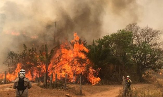 Goiás registra 964 focos de queimadas em agosto