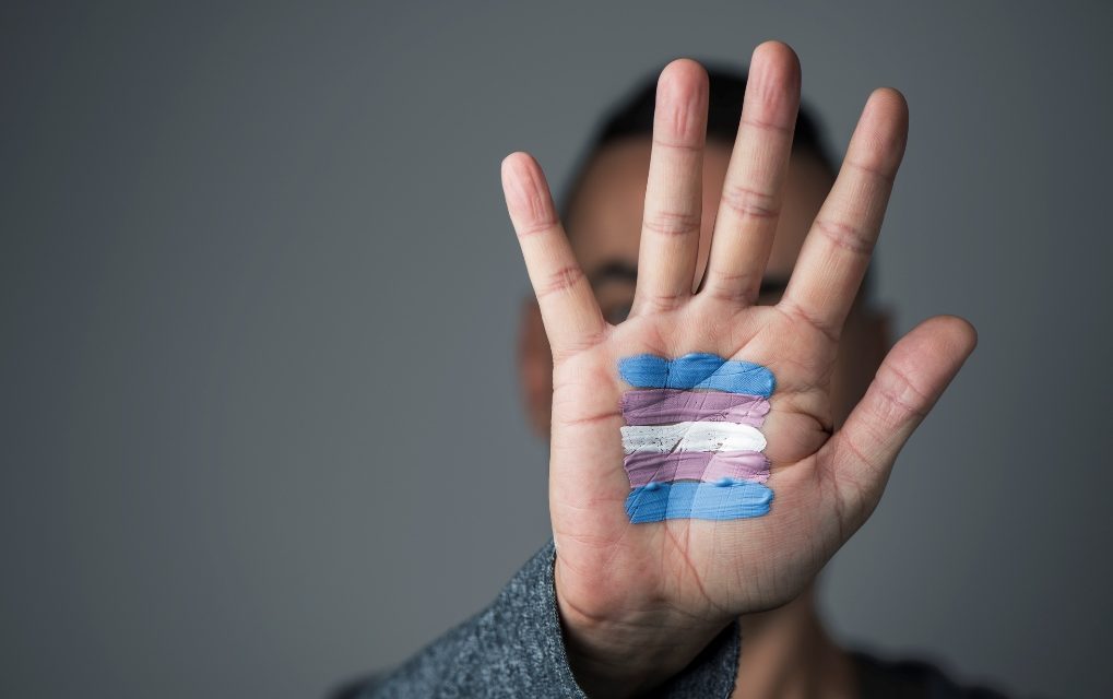 Justiça de Mozarlândia concede retificação de nome e gênero de transexual
