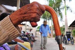 Febre aftosa: campanha de vacinação termina sábado