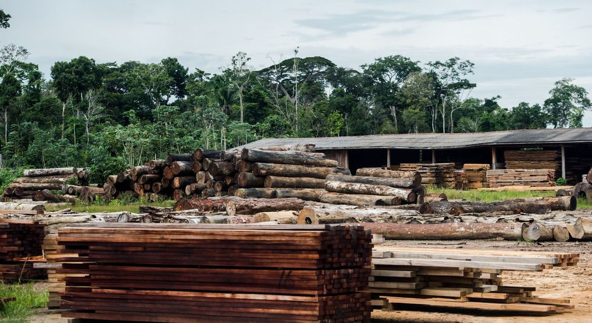 PF combate fraudes em sistema de controle e exploração de madeira