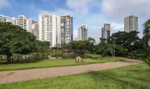 Feriado de Finados: veja o que abre e o que fecha na Grande Goiânia