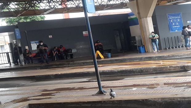 Paralisação de quase 5 mil funcionários deixa Goiânia sem transporte público