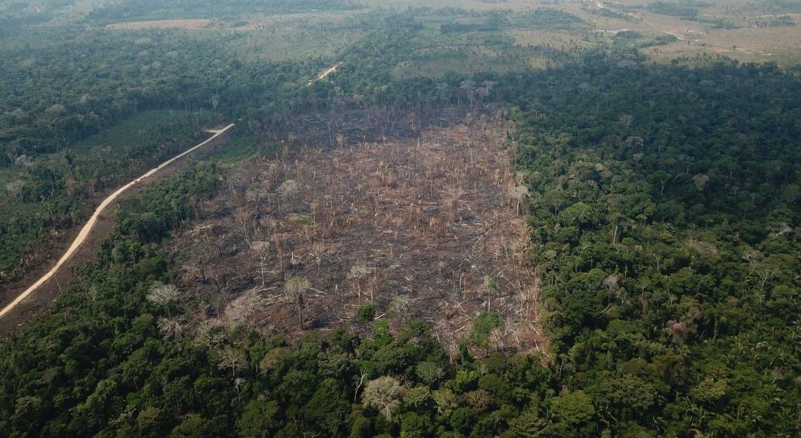 Desmatamento da Amazônia sobe 9,5% e atinge 11 mil km2