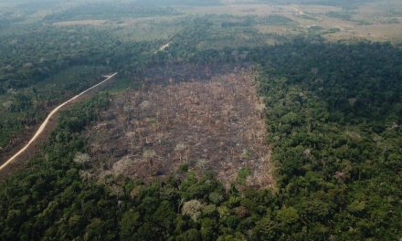 Governo autoriza apoio da Força Nacional ao ICMBio na Amazônia