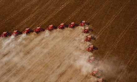 Com dólar em alta, produção agrícola em 2020 bate novo recorde e atinge R$ 470,5 bilhões
