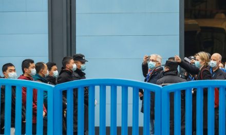 OMS visita mercado de Wuhan na China, primeiro foco da pandemia de Covid-19