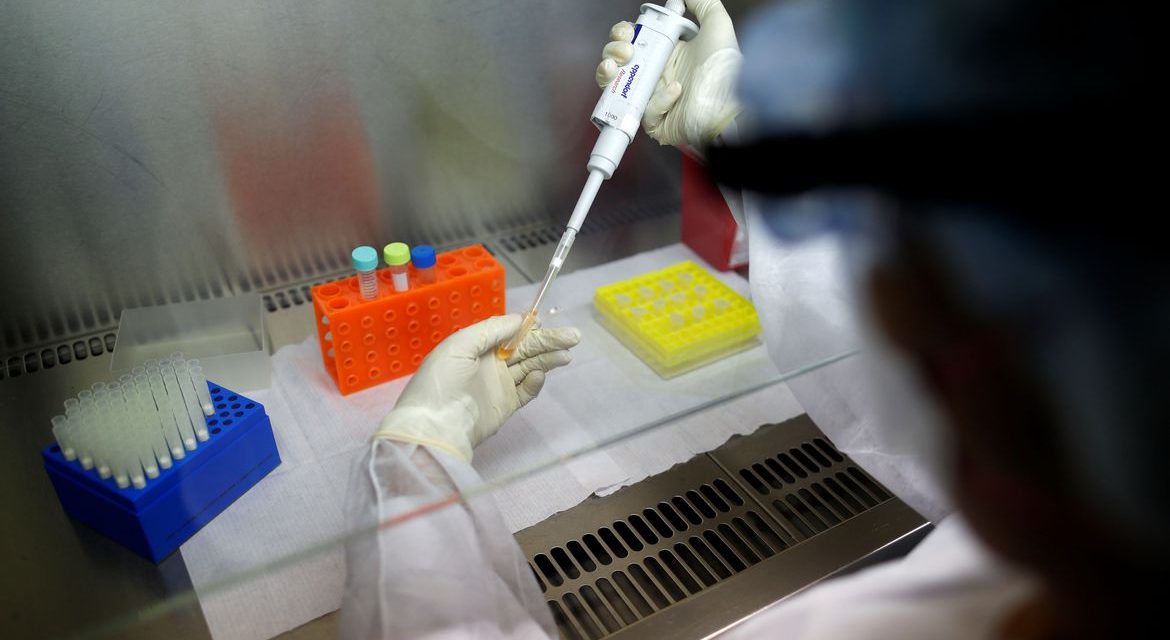 UFMG desenvolve vacina contra a covid-19