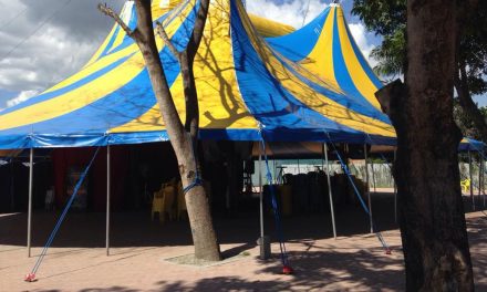 Sem bilheteria e sem calor humano: pandemia desafia artistas de circo