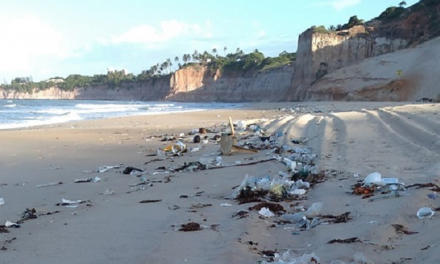 Toneladas de lixo urbano são encontradas em praias do RN
