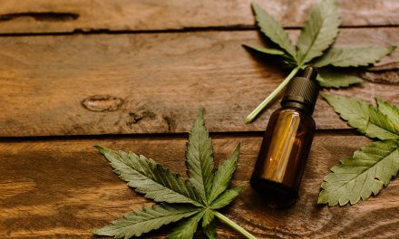 Anvisa otimiza importação de produtos derivados da Cannabis