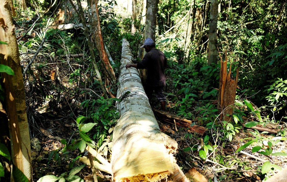 Alerta de desmatamento na Amazônia Legal é o maior para o mês de abril desde 2016