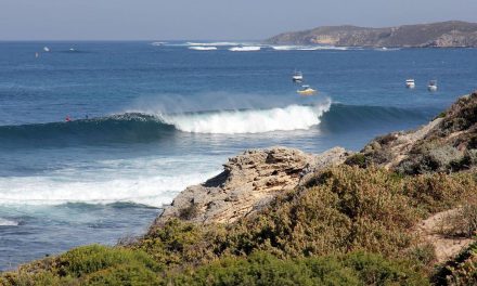 Circuito Mundial de Surfe chega à ilha australiana de Rottnest