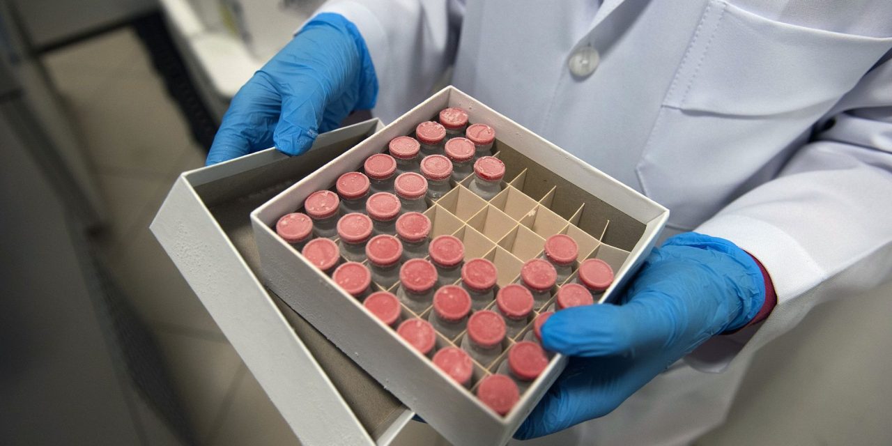 Testes para diagnóstico de covid-19 não atestam proteção vacinal