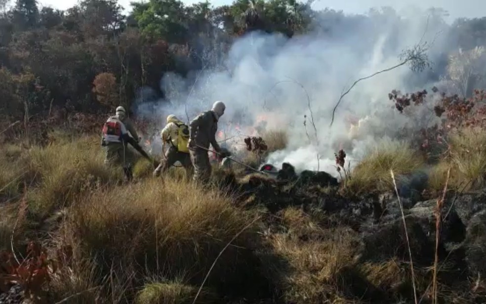 Incêndio no Parque das Emas já atingiu cerca de 20 mil hectares