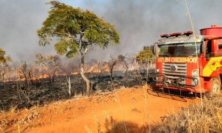 Incêndio no Parque Nacional das Emas é controlado após atingir quase 28 mil hectares
