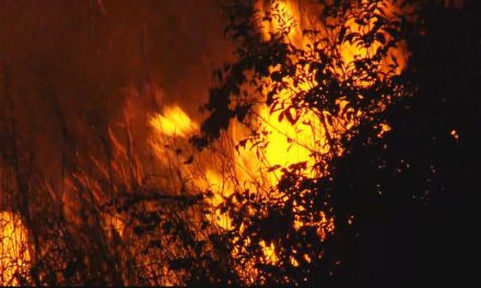 Incêndio atinge o Morro do Mendanha, em Goiânia