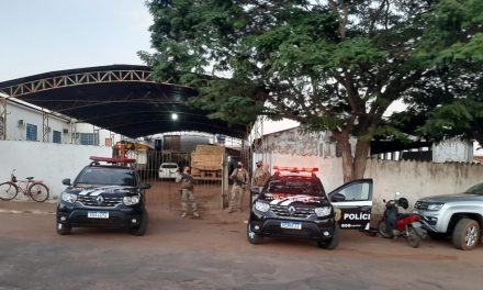 Operação investiga venda ilegal de madeira doada pelo Ibama à Prefeitura de Rubiataba
