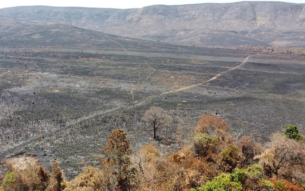Incêndio atinge reserva do Parque Nacional da Chapada dos Veadeiros