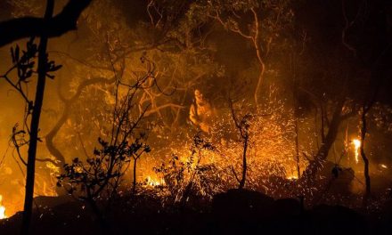 Incêndio atinge área equivalente a 80 campos de futebol e ameaça parque ecológico às margens da GO-080, em Goiânia