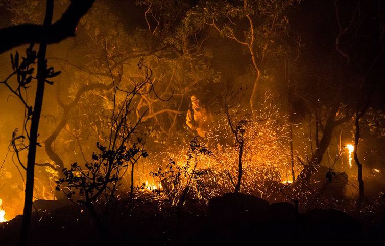 Incêndio atinge área equivalente a 80 campos de futebol e ameaça parque ecológico às margens da GO-080, em Goiânia