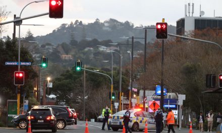 Ataque terrorista na Nova Zelândia deixa seis mortos