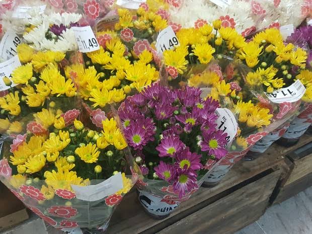 Flores tradicionais para o Dia de Finados apresentam variação de até 92,31%