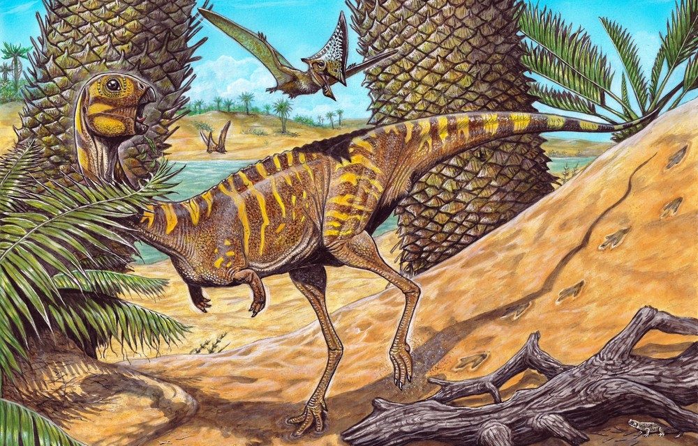 Museu Nacional anuncia descoberta de nova espécie de dinossauro brasileiro