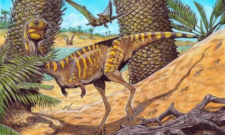 Museu Nacional anuncia descoberta de nova espécie de dinossauro brasileiro