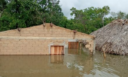 Moradores mostram destruição de casas e estradas após temporal na região da Chapada dos Veadeiros