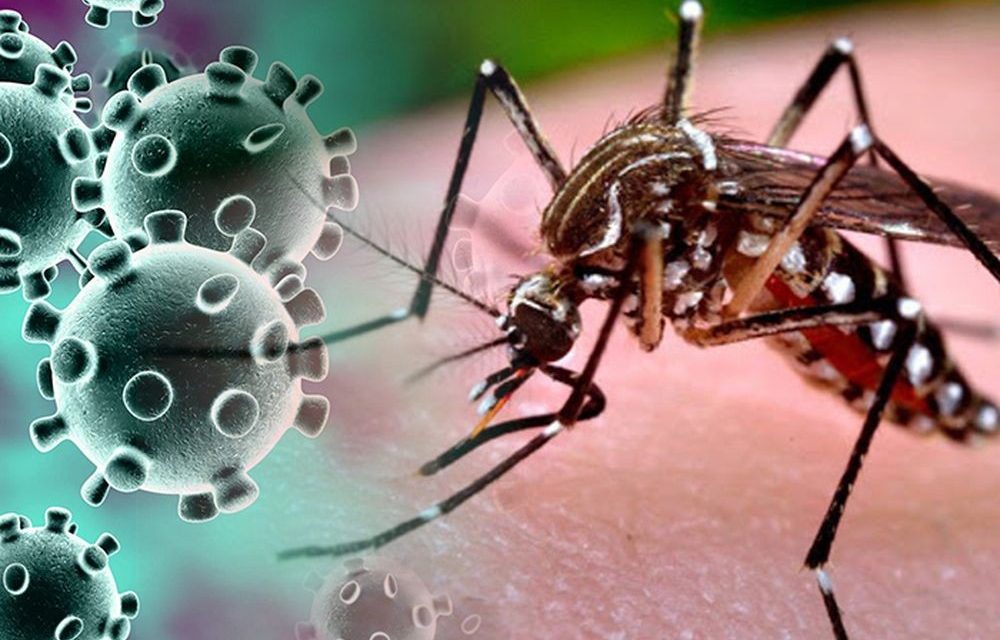 Goiás tem as duas primeiras mortes confirmadas pela cepa da dengue mais disseminada no mundo, diz SES