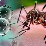Casos de dengue registram queda, mas internações preocupam