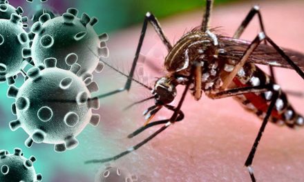 Goiás tem as duas primeiras mortes confirmadas pela cepa da dengue mais disseminada no mundo, diz SES