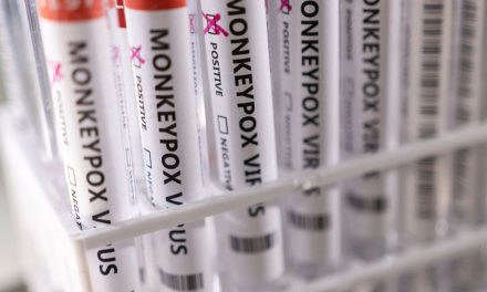Ministério da Saúde confirma 8º caso de varíola dos macacos no país