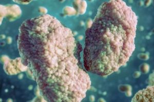 Sobe para três a quantidade de moradores com suspeita de varíola dos macacos em Goiás