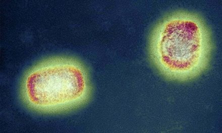 EUA registram primeiros casos de varíola dos macacos em crianças